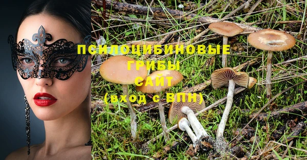 MDMA Premium VHQ Белокуриха