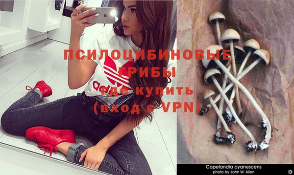 кокс Беломорск