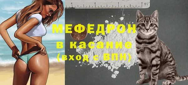 молекула духа Белоозёрский