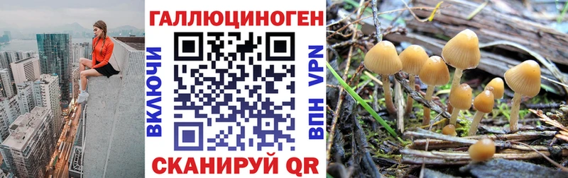 Галлюциногенные грибы Psilocybine cubensis  кракен ТОР  Волчанск 
